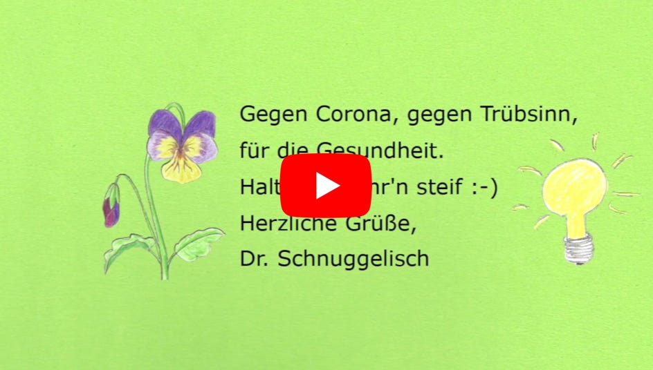 Video abspielen